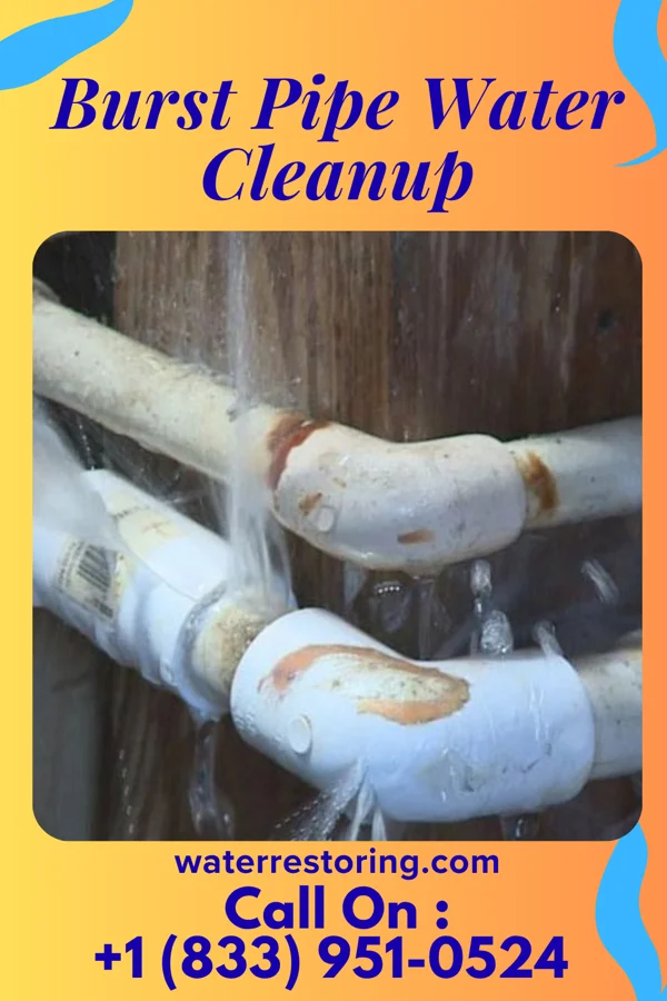 Burst Pipe Water Cleanup in Castle Shannon, PA
