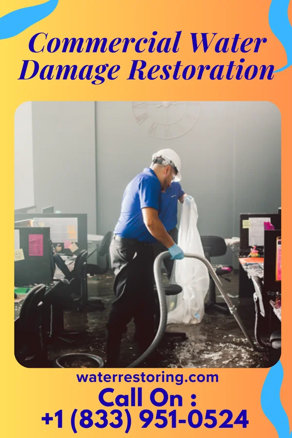 Commercial Water Damage Restoration in Castle Shannon, PA