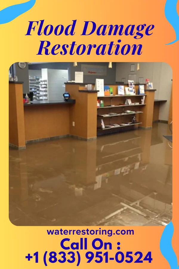 Flood Damage Restoration in Castle Shannon, PA