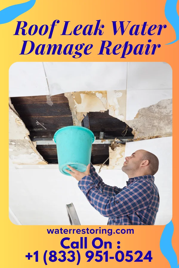 Roof Leak Water Damage Repair in Castle Shannon, PA