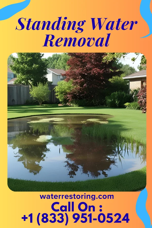 Standing Water Removal in Castle Shannon, PA